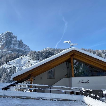Santa Cristina Val Gardena Amalia Apartment מראה חיצוני תמונה